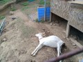 IMG_20250908_100511