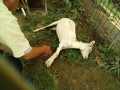 IMG_20250908_103750