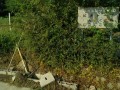 IMG_20250909_081320