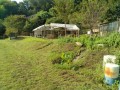 IMG_20250909_081351