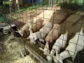 IMG_20250909_081846