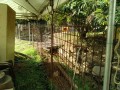 IMG_20250909_081900
