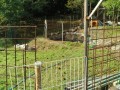 IMG_20250909_081914