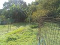 IMG_20250909_081916