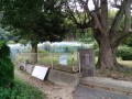 IMG_20250910_090112