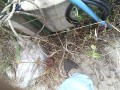 IMG_20250910_092548
