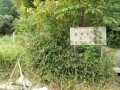 IMG_20250910_092554