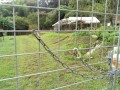 IMG_20250910_092620