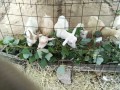 IMG_20250910_093037