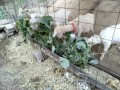 IMG_20250910_093043