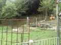 IMG_20250910_093113