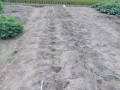 IMG_20250910_110000