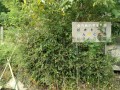 IMG_20250911_101244