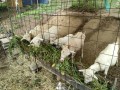 IMG_20250911_101851