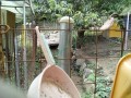 IMG_20250911_101906