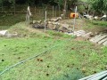 IMG_20250911_101924