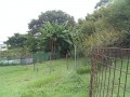 IMG_20250911_101927