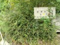 IMG_20250912_084510