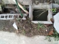 IMG_20250912_084514