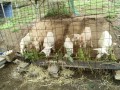 IMG_20250912_085329
