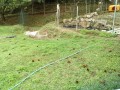 IMG_20250912_085419