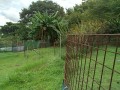 IMG_20250912_085422