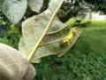 IMG_20250912_105116