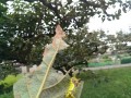 IMG_20250912_105120