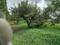 IMG_20250912_105125