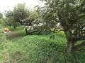 IMG_20250912_105200