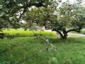 IMG_20250912_105203