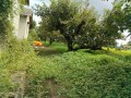 IMG_20250912_111834