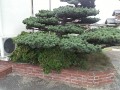 IMG_20250912_114856