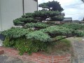 IMG_20250912_114903