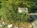 IMG_20250913_083731