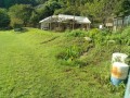 IMG_20250913_083803