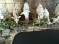 IMG_20250913_084028