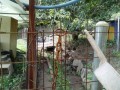 IMG_20250913_084037