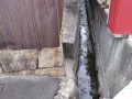 IMG_20250914_090210