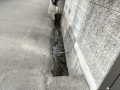 IMG_20250914_090220