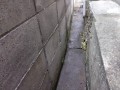 IMG_20250914_090754