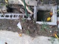 IMG_20250914_105337