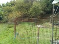 IMG_20250914_105818