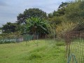 IMG_20250914_105819