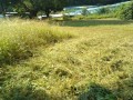 IMG_20250915_091950