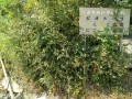 IMG_20250915_104154