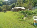 IMG_20250915_104459