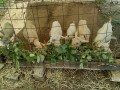 IMG_20250915_104746