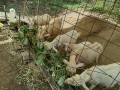 IMG_20250915_104752