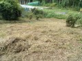 IMG_20250917_095306
